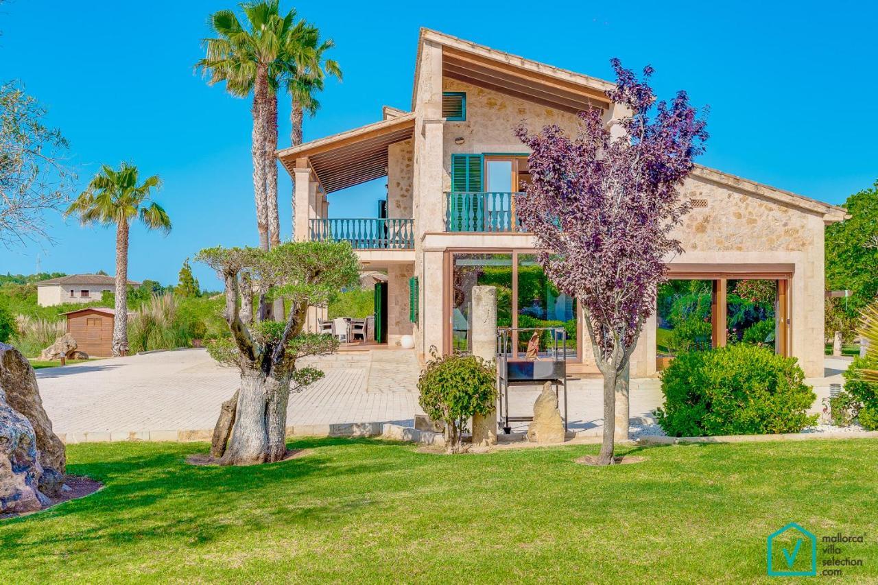 Siona By Mallorca Selection